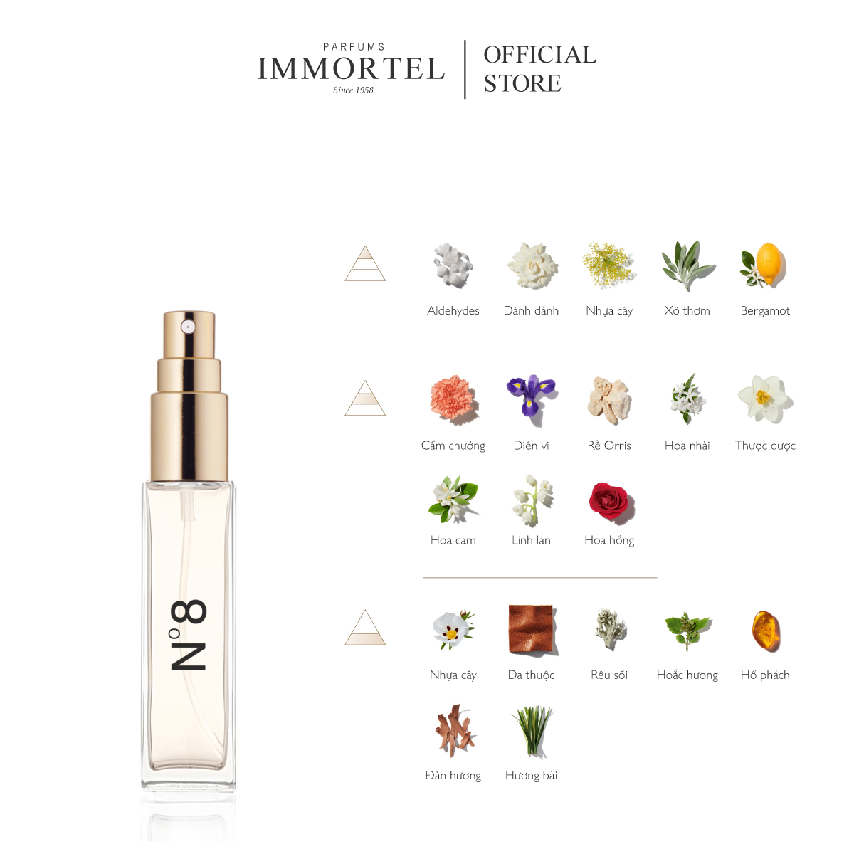 Nước hoa nữ IMMORTEL N°8 - 8mL EDP Chính hãng Pháp