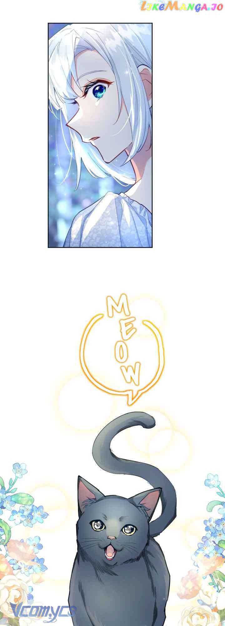 sự báo thù của một vị thánh chapter 69 8