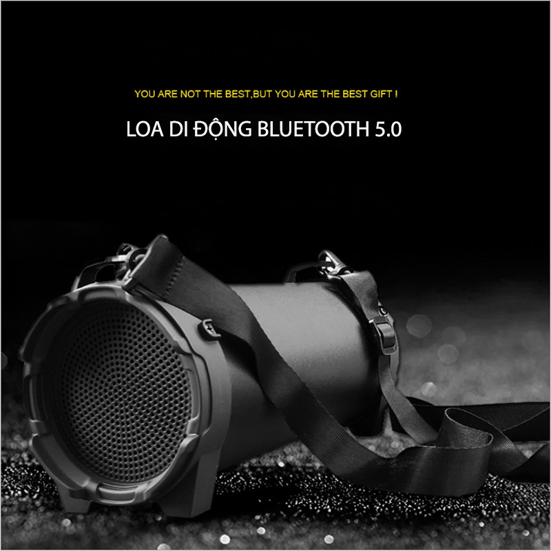 Loa Bluetooth SL10 – 8W có đài FM và phát nhạc từ USB, thẻ nhớ, cổng 3.5mm