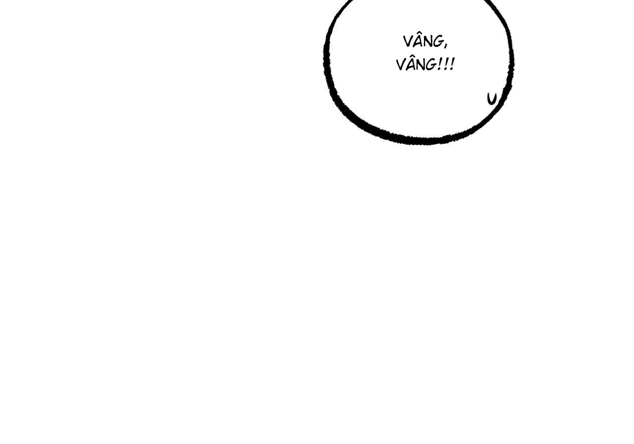 những chú thỏ của hapypy chapter 60 200