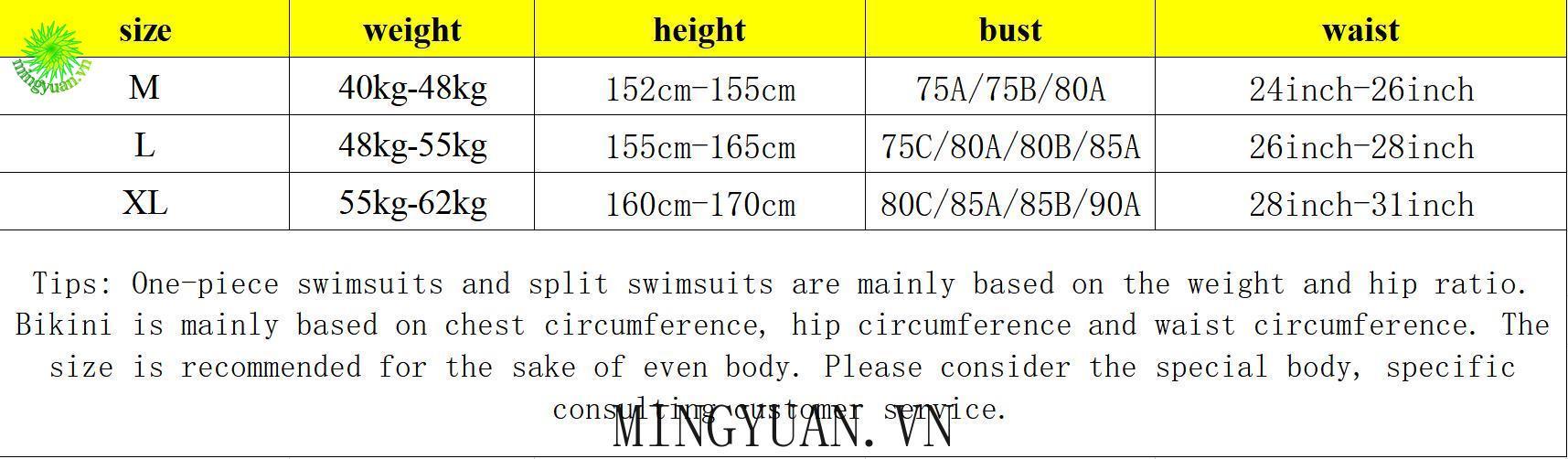 Bộ Đồ Bơi Một Mảnh Thời Trang Cho Nữ