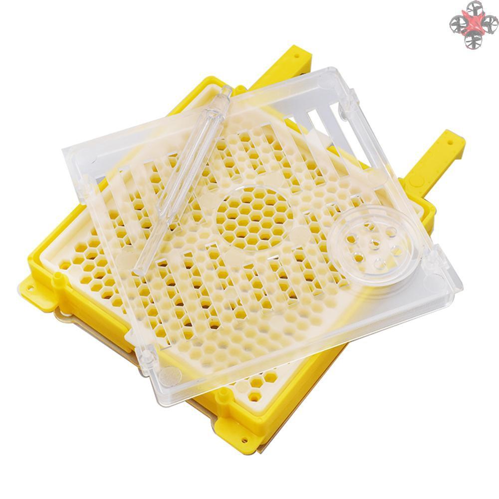 Hộp Nuôi Ong Chúa Kèm Phụ Kiện