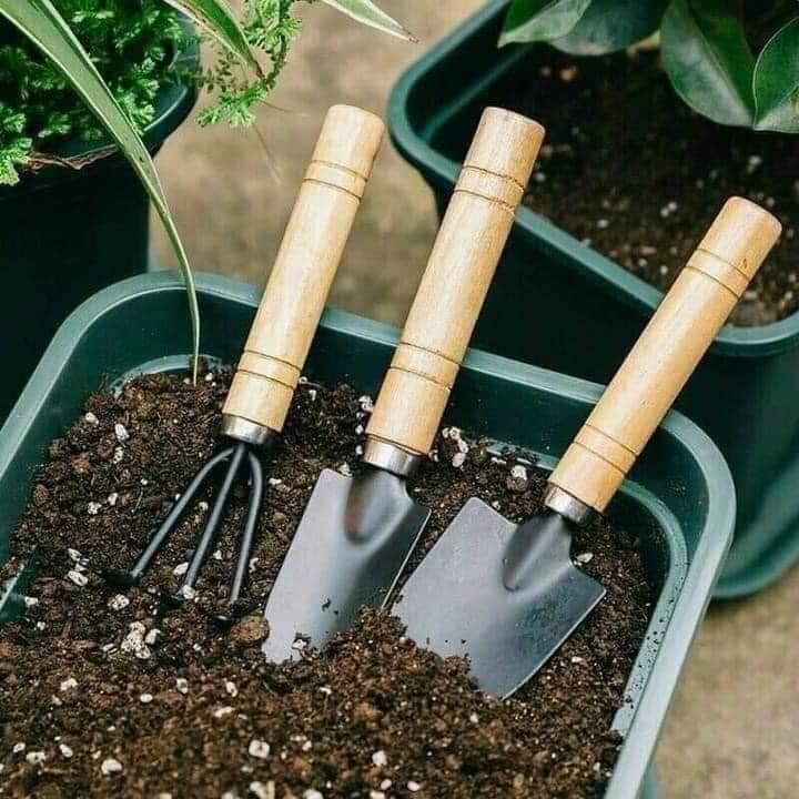BỘ CUỐC XẺNG LÀM VƯỜN MINI SÉT 3 CHIẾC CỰC XINH