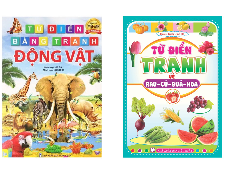Sách - Combo 2 cuốn Từ Điển Tranh Song ngữ Anh Việt - ndbooks