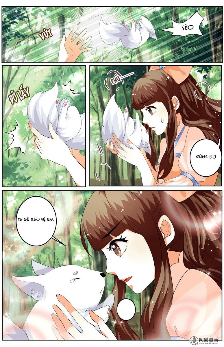 Hồ Thoại Hồ Thuyết chapter 27 - Trang 8