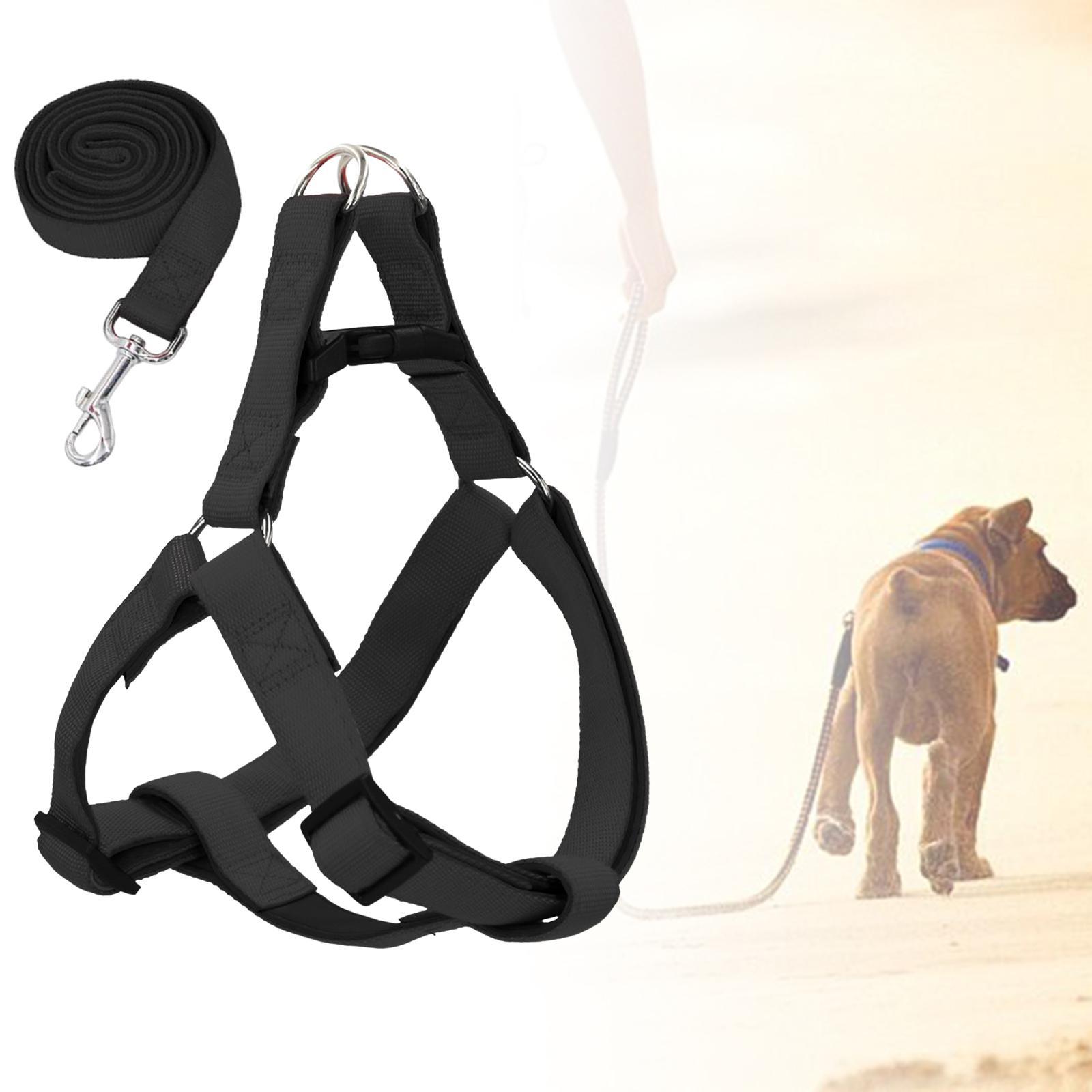 Dog Harness and Leash Set Adjustable Comfortable Puppy Vest for Running
