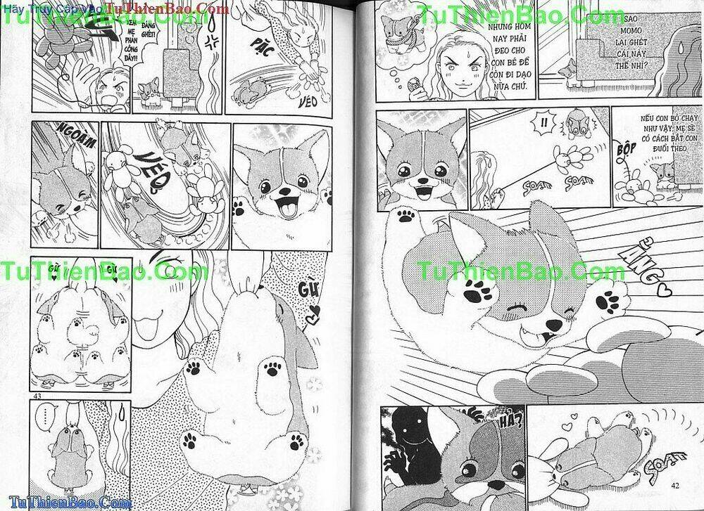 chó con mo mo chapter 2 22