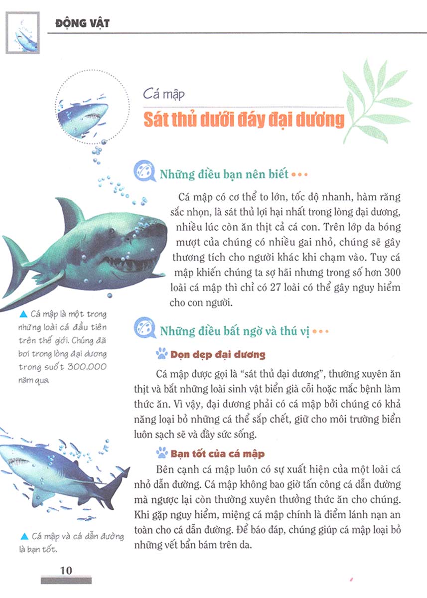 Khám Phá Bí Ẩn Thế Giới Tự Nhiên Dành Cho Học Sinh : Động Vật _ML