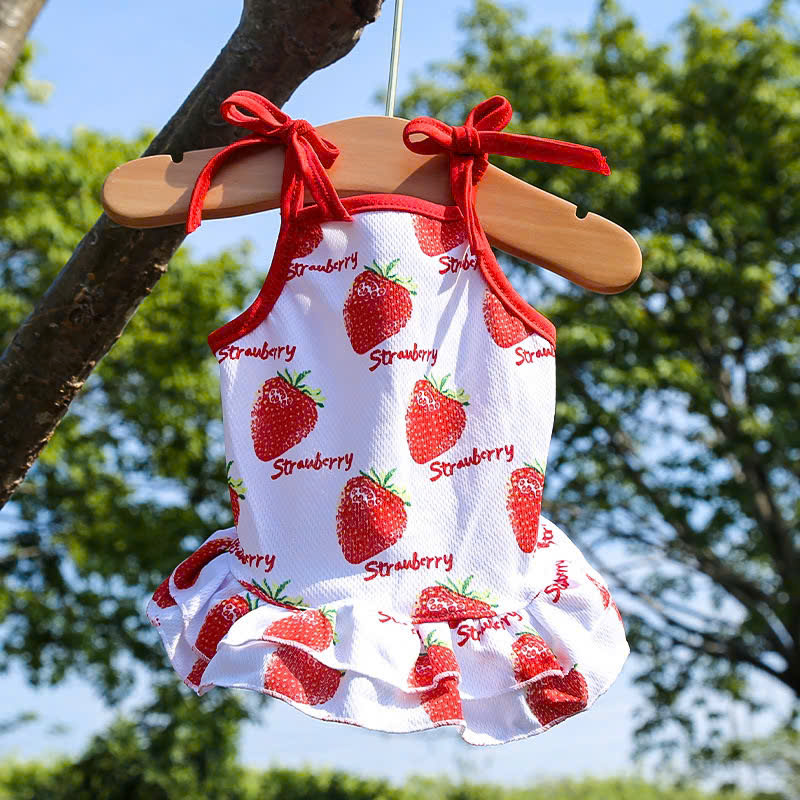 VÁY XÒE HÌNH TRÁI CÂY DỄ THƯƠNG CHO THÚ CƯNG CHÓ MÈO