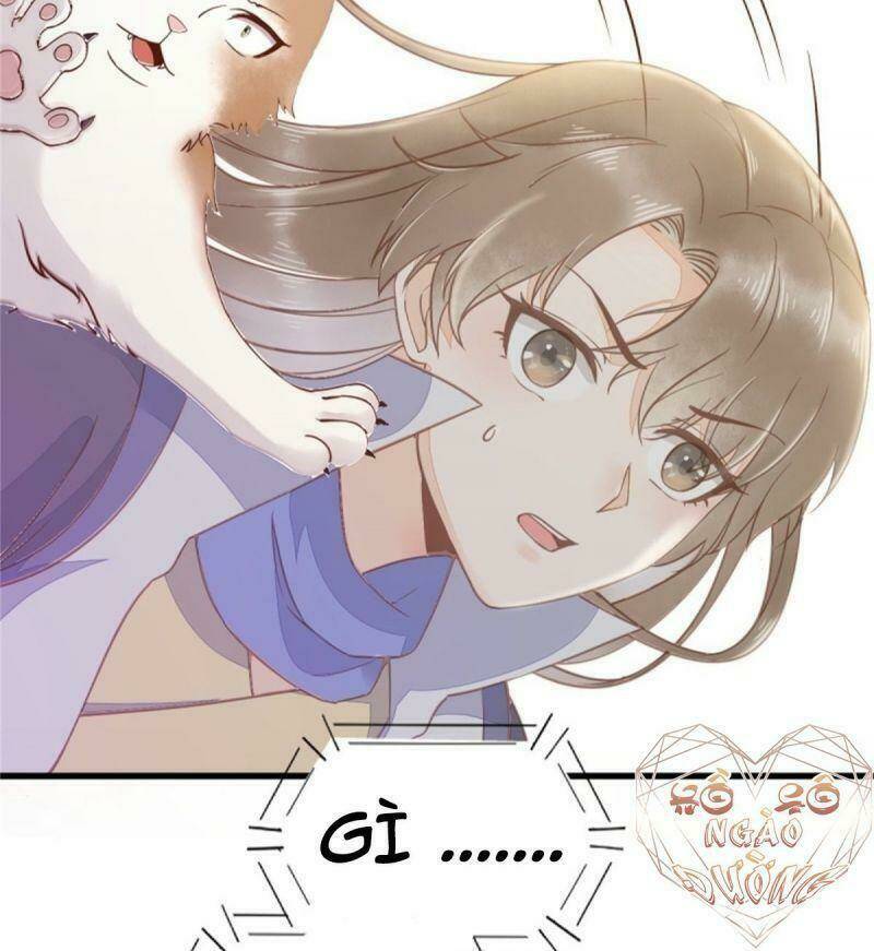 sát thủ vương phi không dễ chọc chapter 30 37