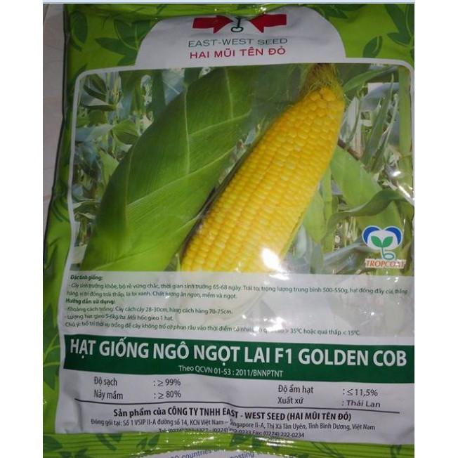 Hạt Giống Ngô Ngọt vàng Thái lan