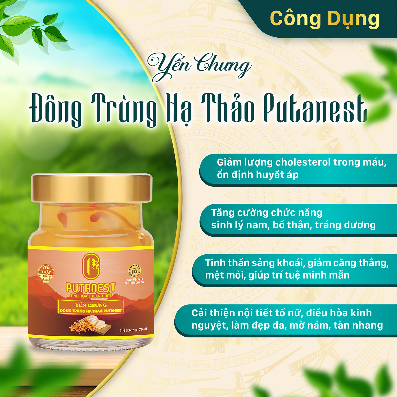 Yến chưng Đông trùng hạ thảo PUTANEST hộp quà tặng cao cấp 12 hũ 70ml đẹp da tăng sức đề kháng
