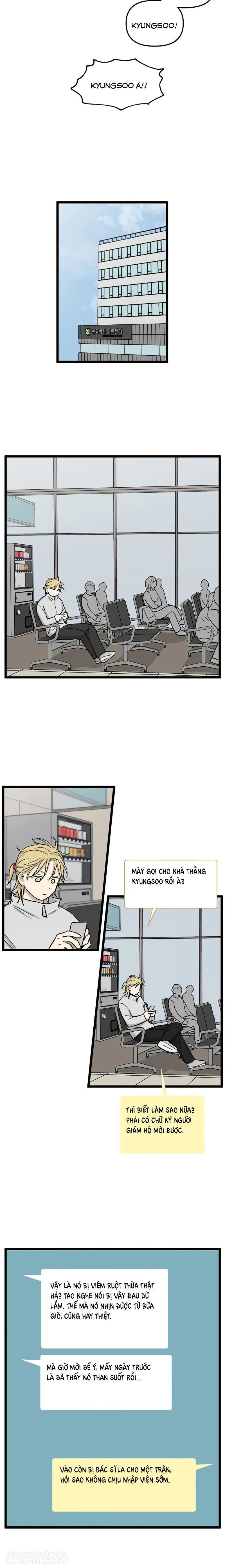 no home - không nhà chapter 221 6