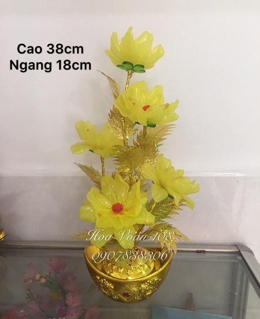 Chậu hoa để bàn thờ cao 38cm