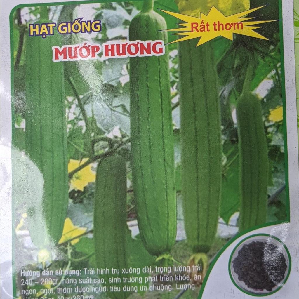 Hạt giông Mướp Hương 2g, Loại rất thơm