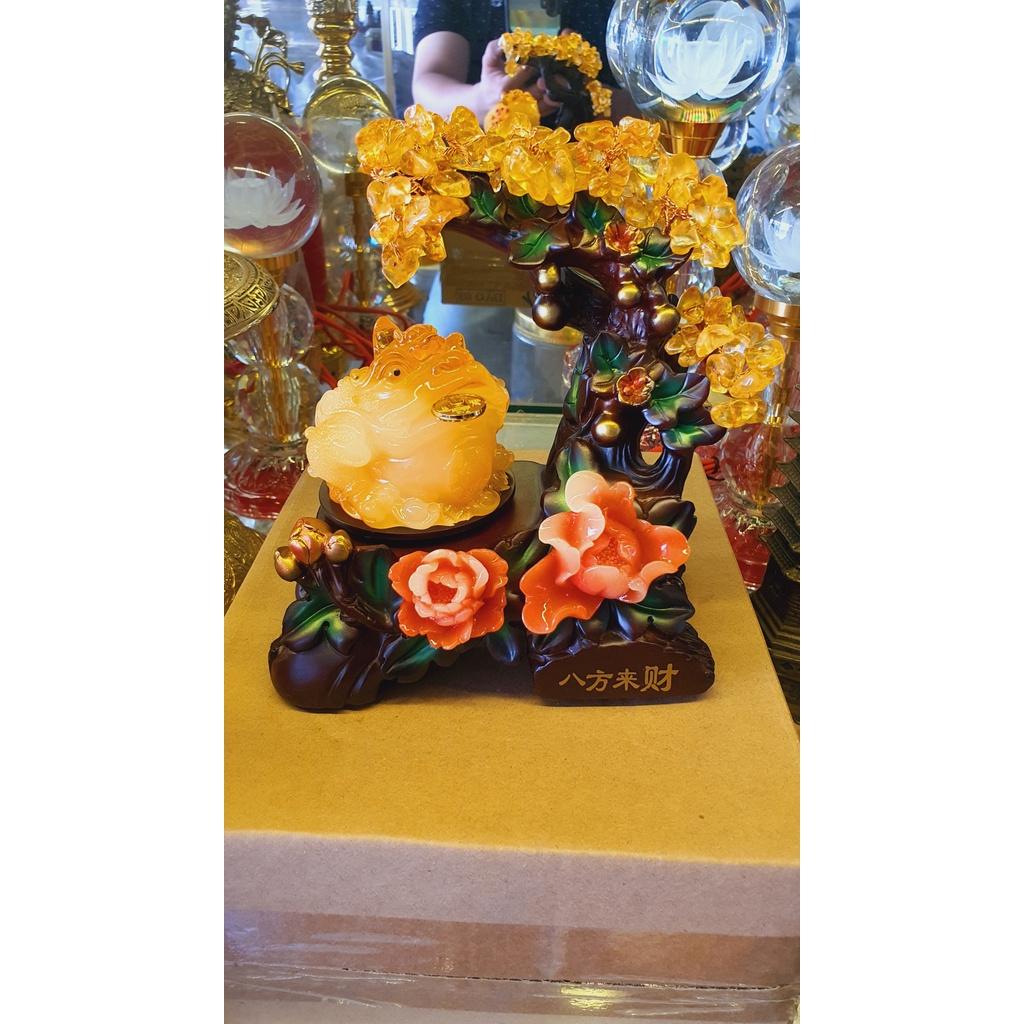 Cóc phong thủy + cây tài lộc 3 cỡ cao 17cm, 23cm