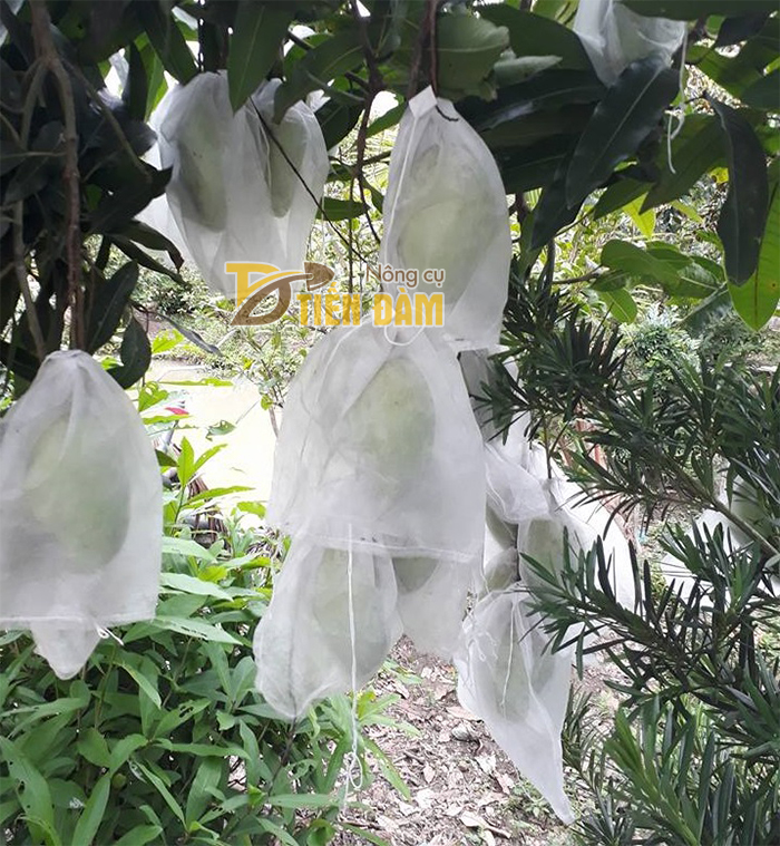 100 cái TÚI BAO ,BỌC XOÀI.BƠ 034.KHỔ QUA.MƯỚP ĐẮNG kích thước 20*35