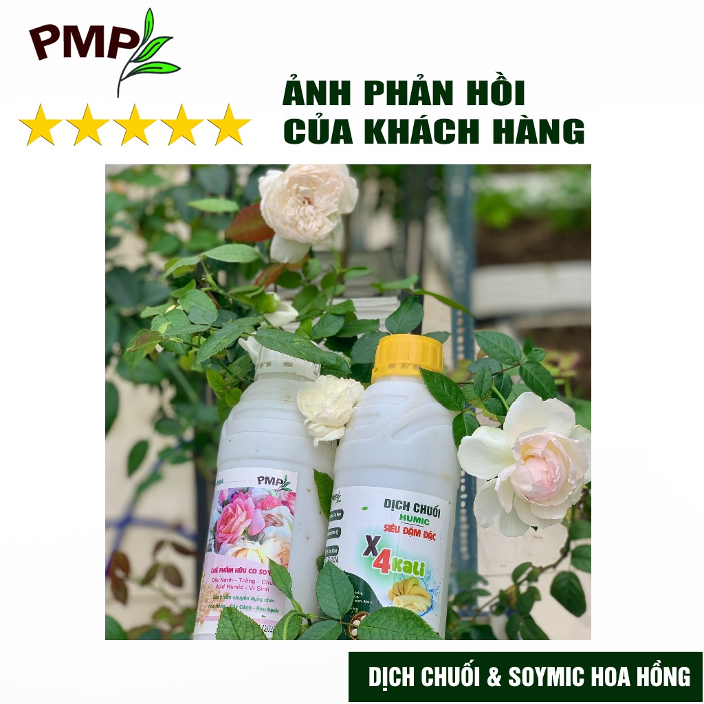 Phân Bón Hoa Hồng Combo Phân Đậu Nành Soymic - Dịch Chuối Humic ( 2 Chai x 1 L)