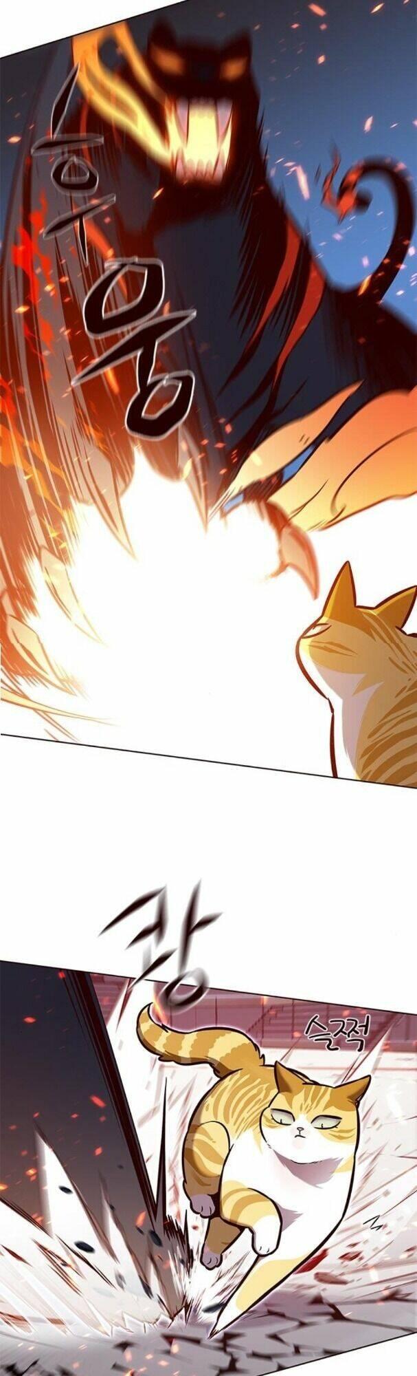 biến thân thành mèo chapter 163 23