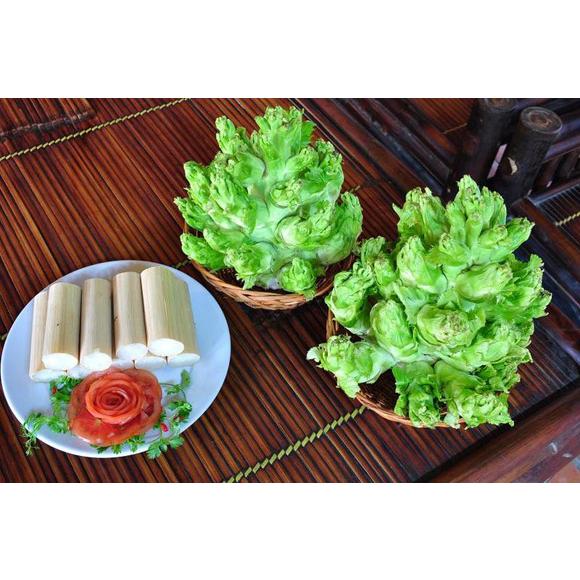 Hạt Giống Rau Cải Mầm Đá F1 -
