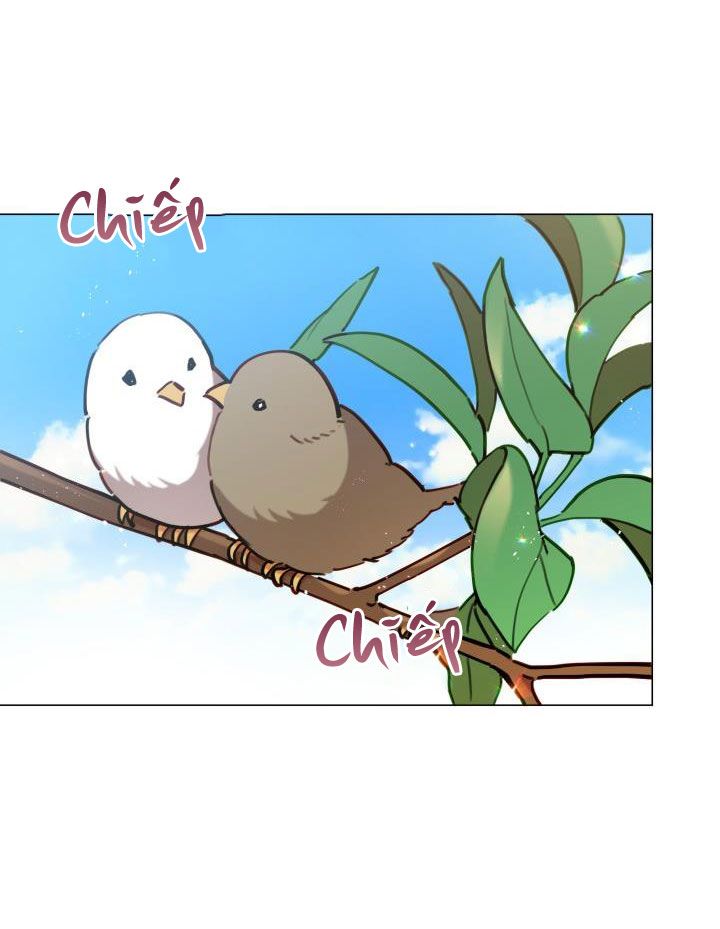 quý cô không thể chạm vào chapter 2 76