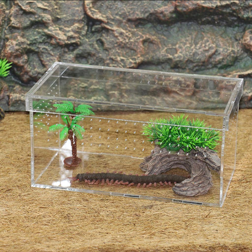 Transparent Acrylic Reptile Box Terrarium Pet Insect Breeding Box