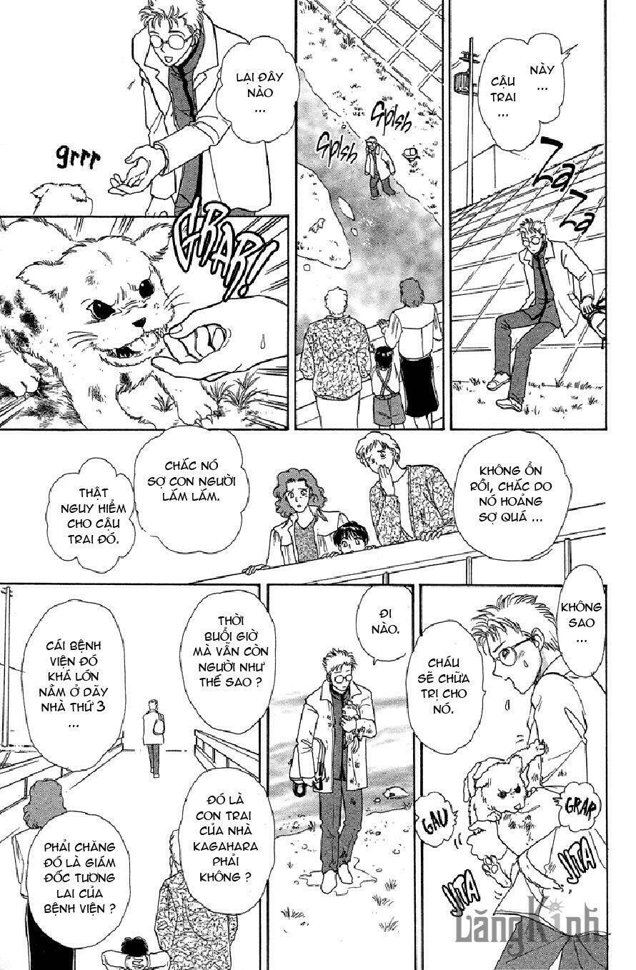 genjuu no seiza - ngôi sao bí ẩn chapter 16 14