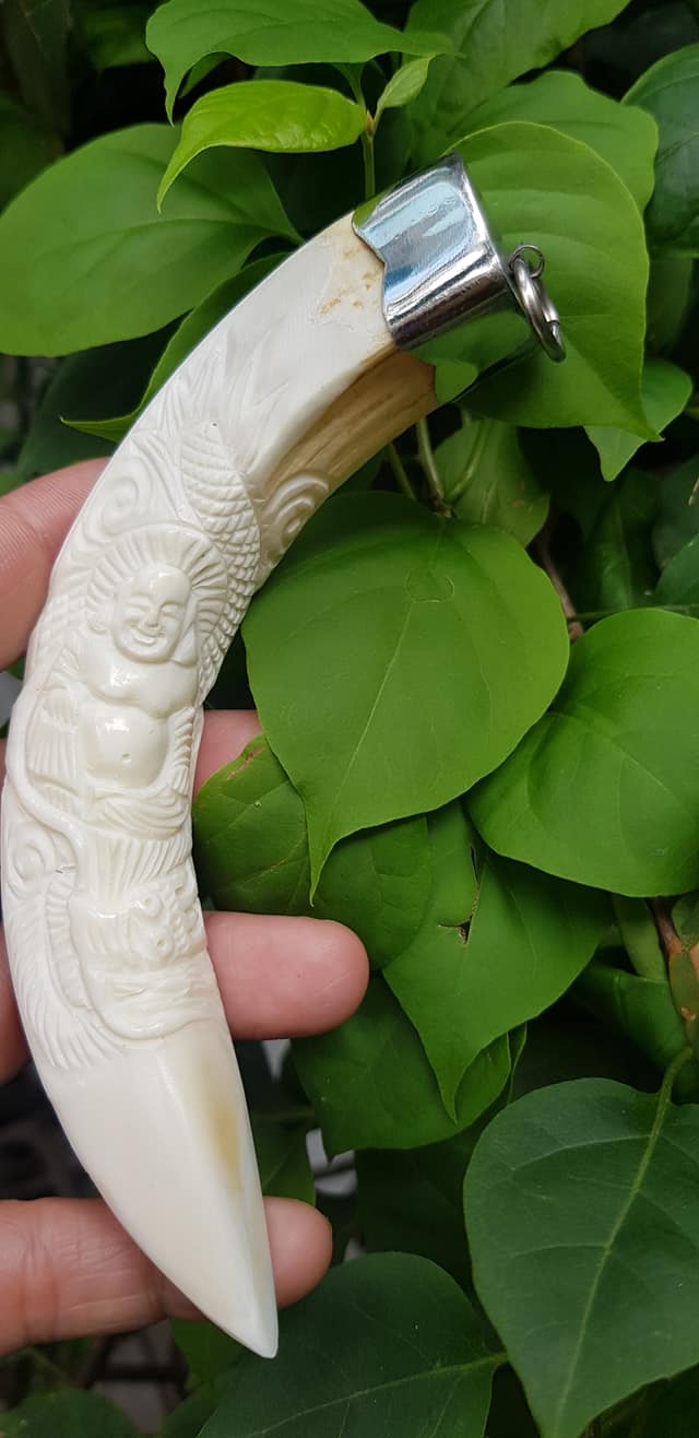 Mặt dây chuyền Nam Nanh Chạm Phật Di Lặc Giả Ngà hay gọi Xương mỹ nghệ màu trắng Mặt dây chạm hình Phật Di Lặc đã bọc khoen inox Nam đeo với sợi dây chuyền của mình đẹp ạ