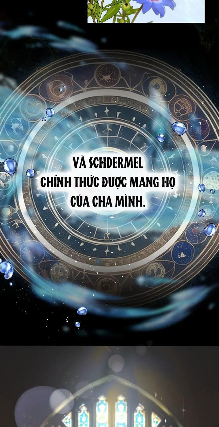 aster yêu dấu của tôi chapter 3 11