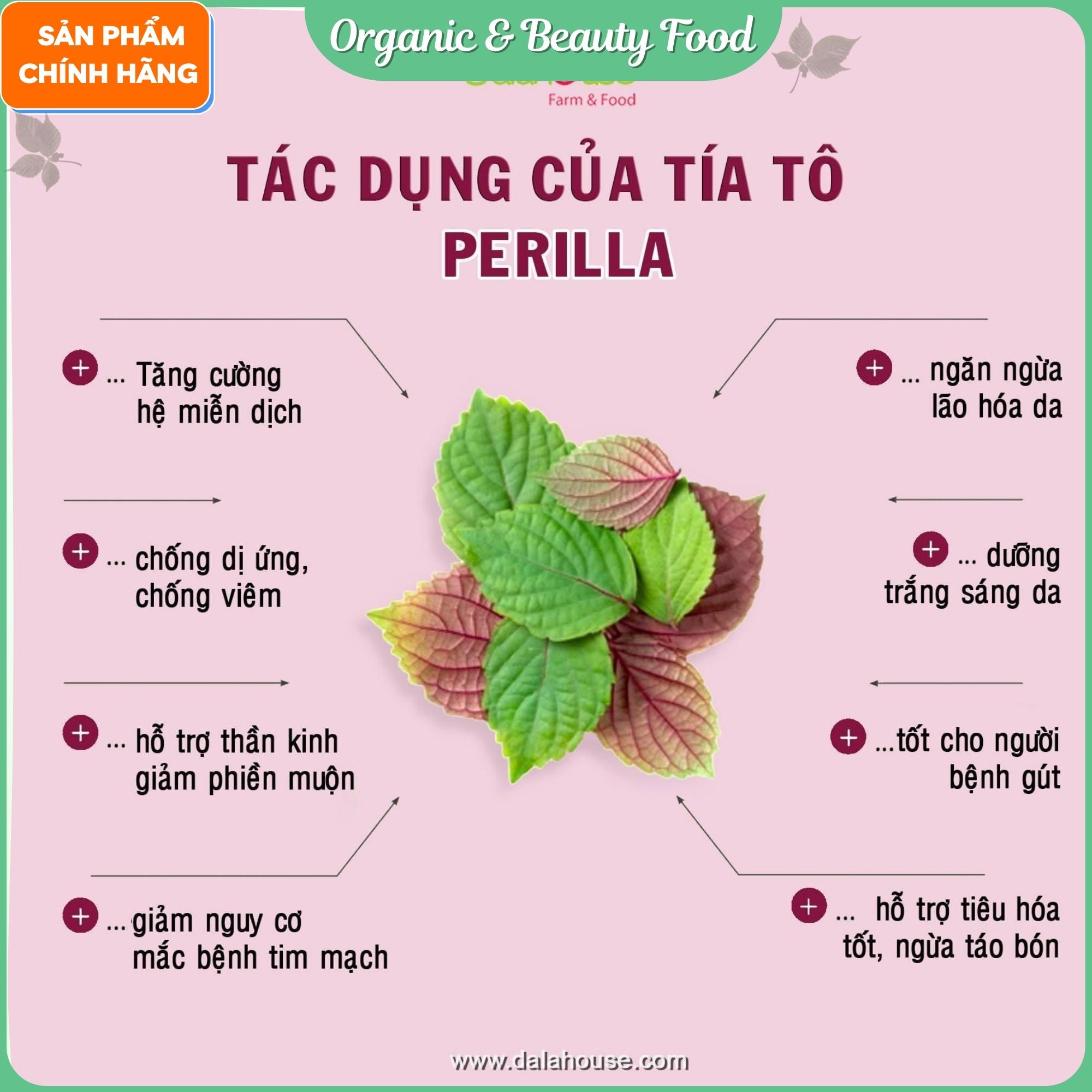 Bột Tía Tô Hữu Cơ Sấy Lạnh Nguyên Chất Dalahouse - Lon 120g - Hỗ trợ trị bệnh gút- Hỗ trợ điều trị cảm cúm - Làm sáng da, thải độc.