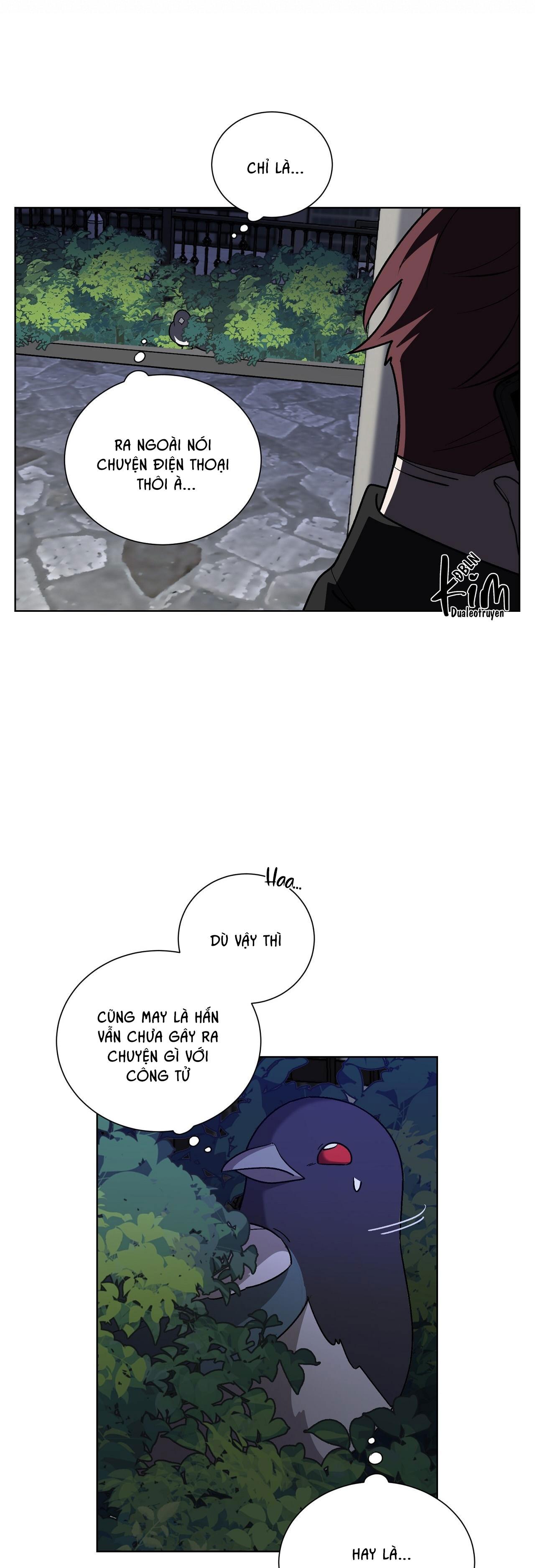 khi chim thước đến chapter 11 29