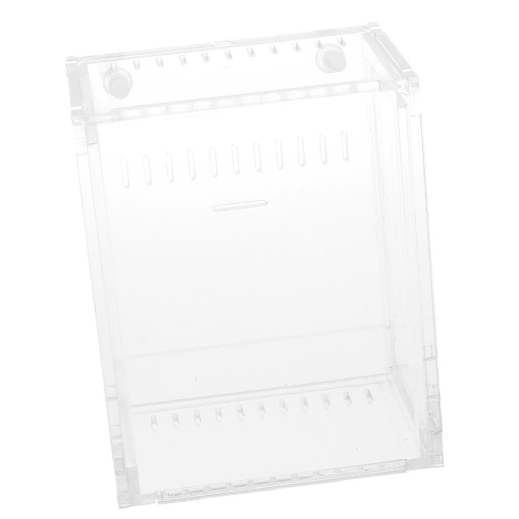 Clear Terrarium Box Reptile & Amphibian Breeding Box for Snake Lizard Turtle