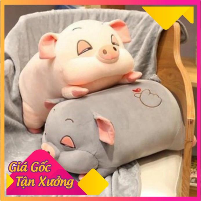Bộ Chăn Gối Văn Phòng, Gấu Bông Heo Hip Kèm Chăn Mền chất vải miniso cao cấp