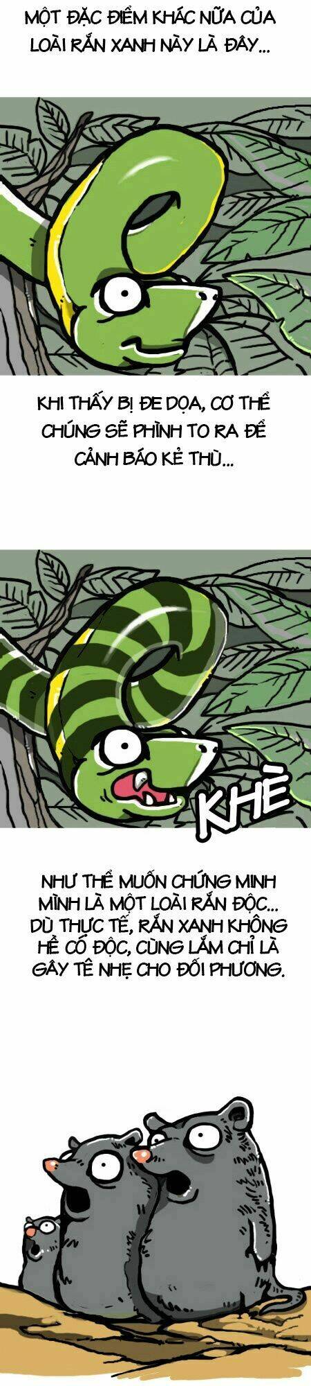 earth, human, and animal chapter 4 10