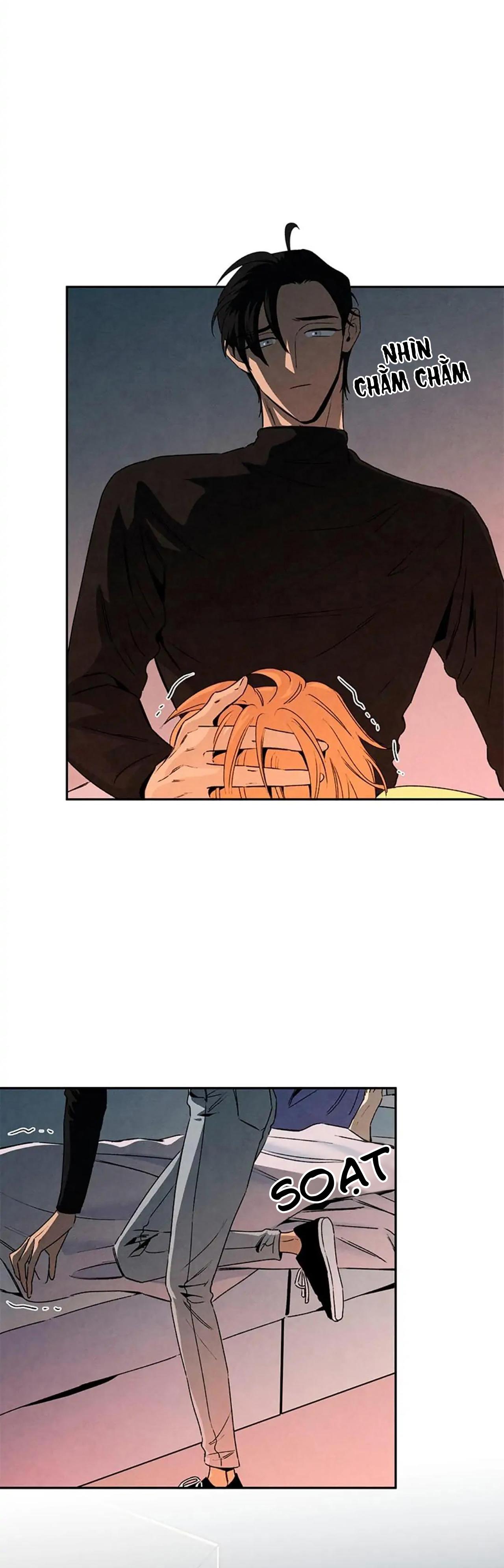 bona sort chapter 33 9