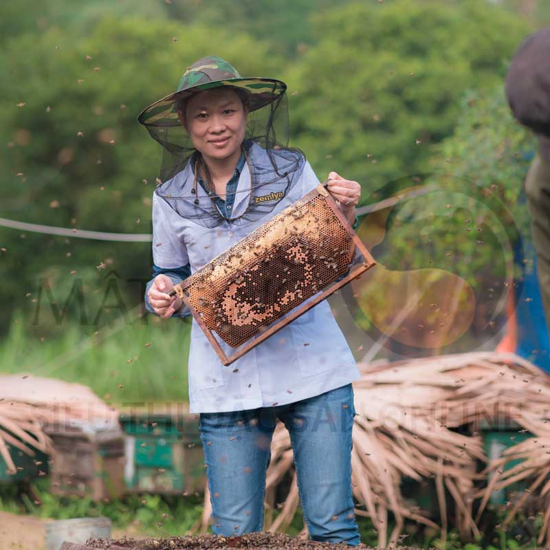 Bộ 2 chai Mật ong nguyên chất Rừng Tây Bắc - Mật ong chín Honimore Mẹ Tiên chai 500g - TẶNG 1 CHAI CÙNG SIZE