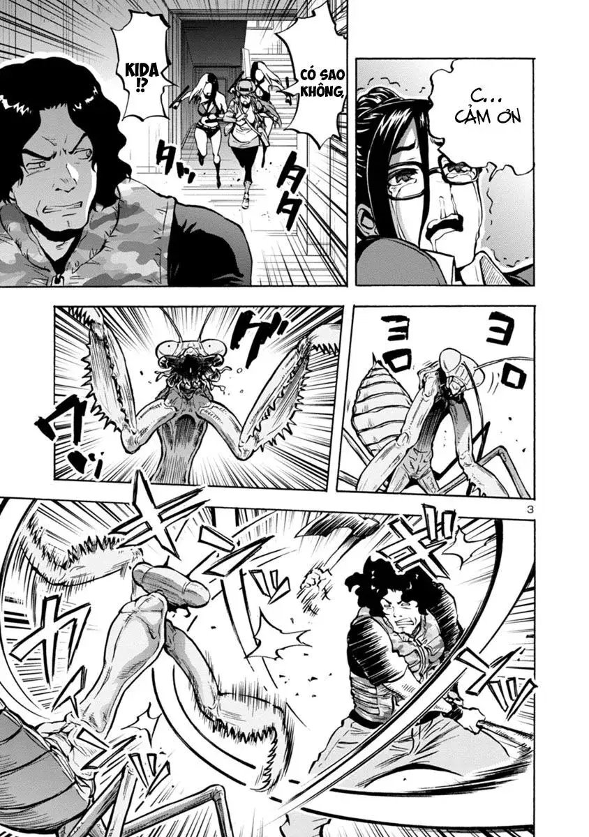 Siêu Đảo Côn Trùng chapter 14.2 3