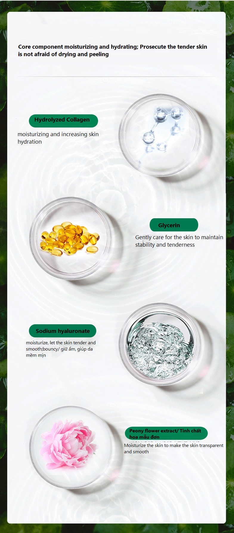 Dưỡng chất Collagen thiên nhiên, chống lão hóa, dưỡng ẩm, làm sáng da, tặng kèm vòng tay Luminous