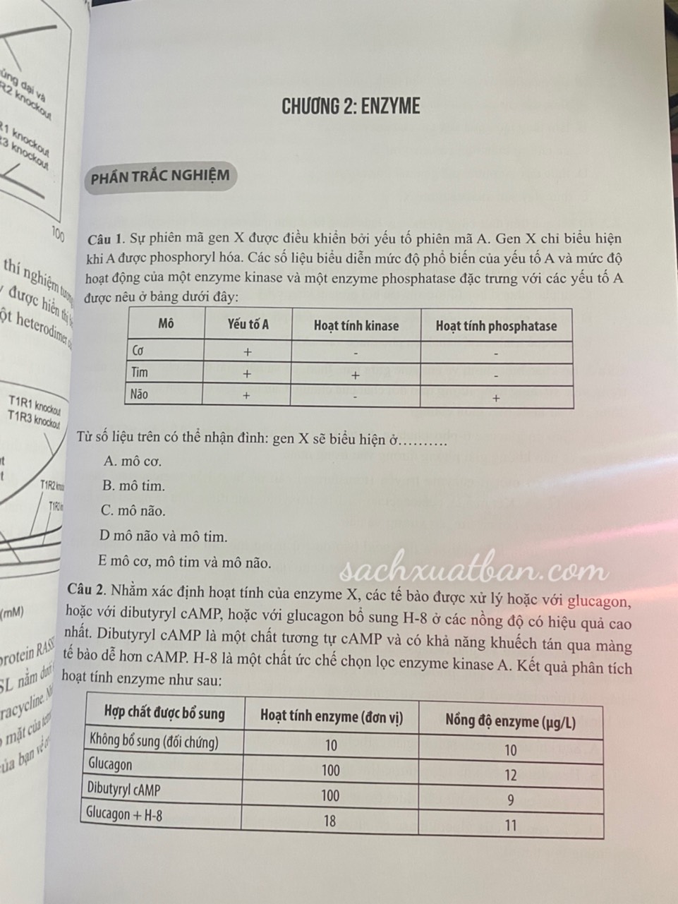 Sinh học tế bào – Bài tập chuyên đề