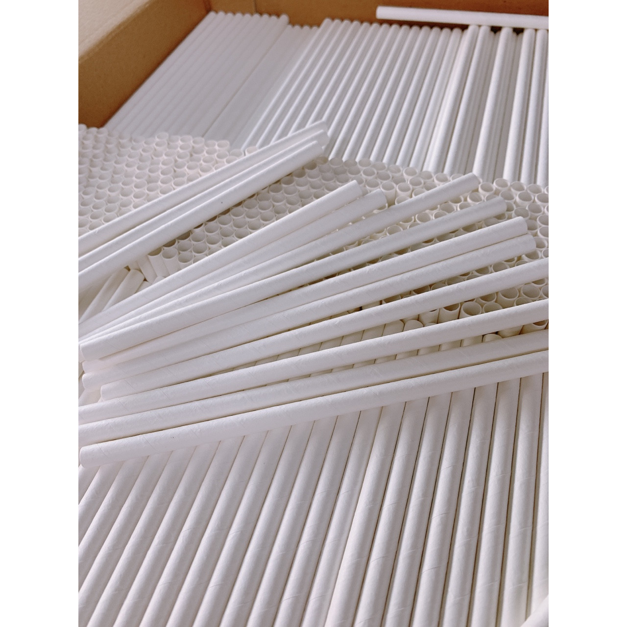 Ống hút giấy cao cấp Clean Paper straw- thùng khoảng 3000 ống