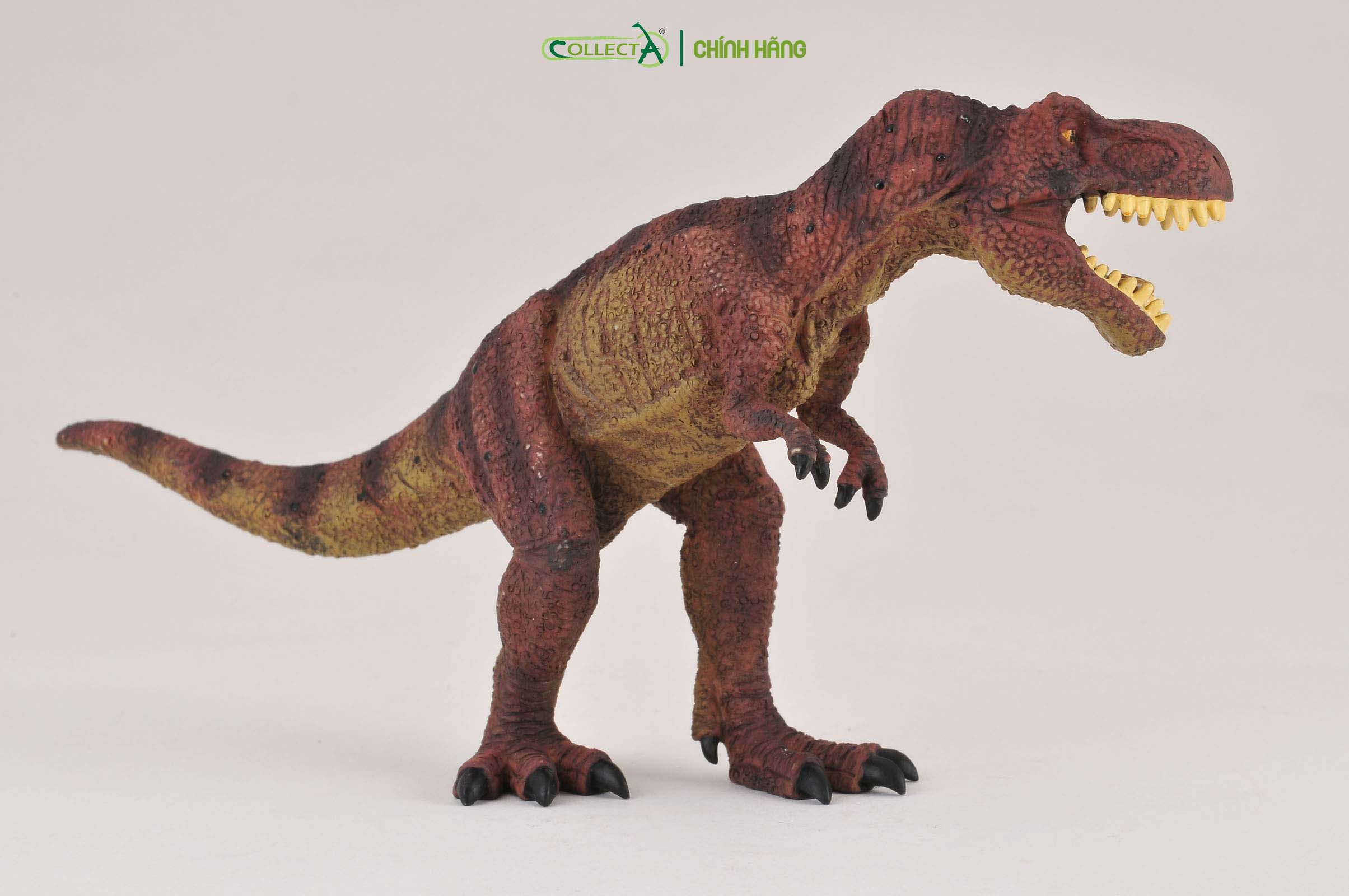 Mô hình thu nhỏ: Khủng Long Tyrannosaurus Rex  - Tyrannosaurus Rex , hiệu: CollectA, mã HS 9654080[88036] -  Chất liệu an toàn cho trẻ - Hàng chính hãng