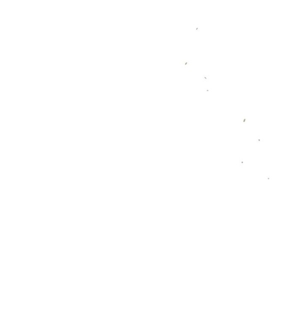 [18+] Nước Mắt Trên Đóa Hoa Tàn chapter 15.1 20