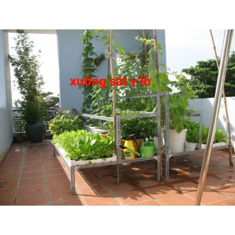 Kệ khung sắt bậc thang trồng rau 3 tầng.Mỗi tầng 2 khay