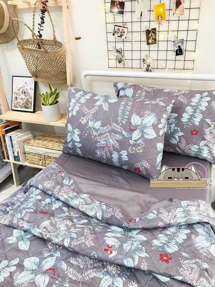 Bộ Ga Gối Vải Cotton Hàn Quốc 4 Món Nệm 20 CM
