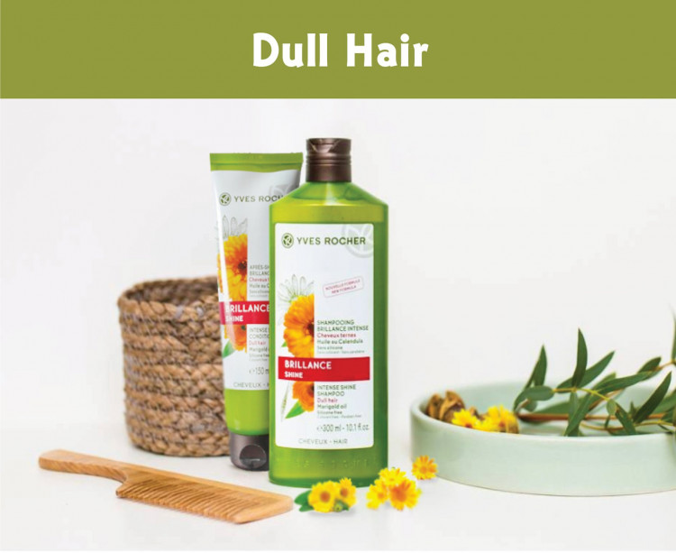 Káº¿t quáº£ hÃ¬nh áº£nh cho Yves Rocher Brillance Intense Shine