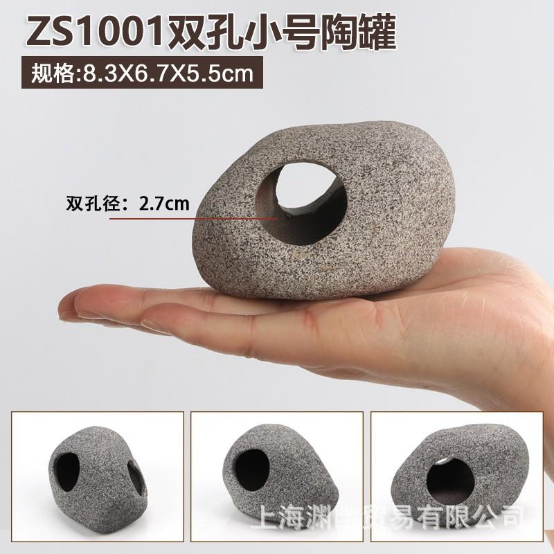 Hang cá ali ZS 1001 - hang pleco - trang trí bể tép - bể thủy sinh - hồ cá cảnh - biotop - bò sát