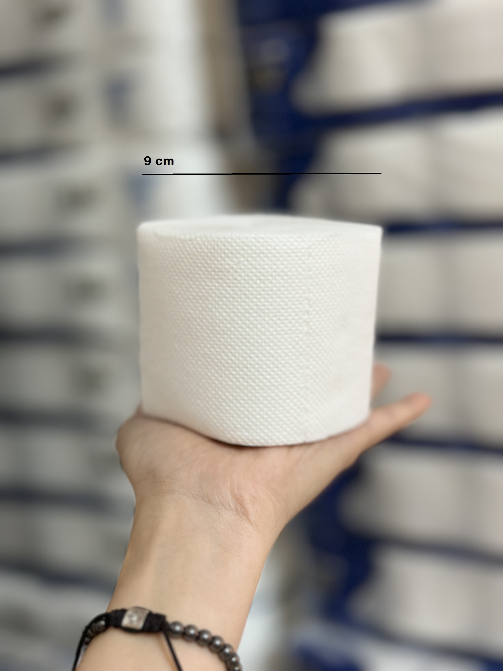 Lốc 10 Cuộn Giấy Vệ Sinh Không Lõi ASI 2 Lớp Giá Rẻ Tiết Kiệm Chất Lượng