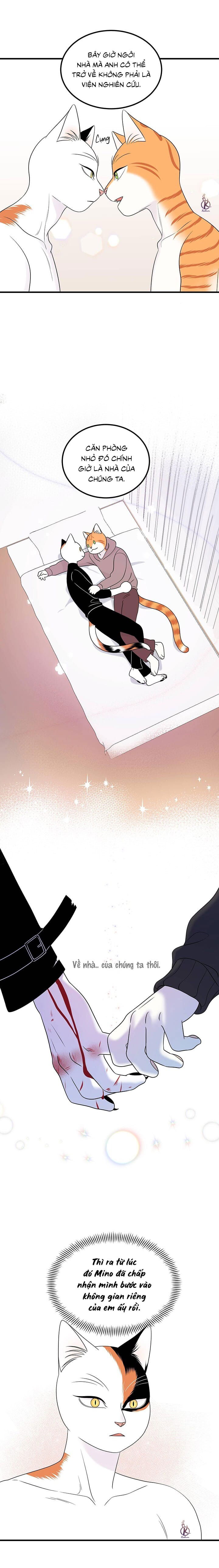 dự án xanh chapter 38 6