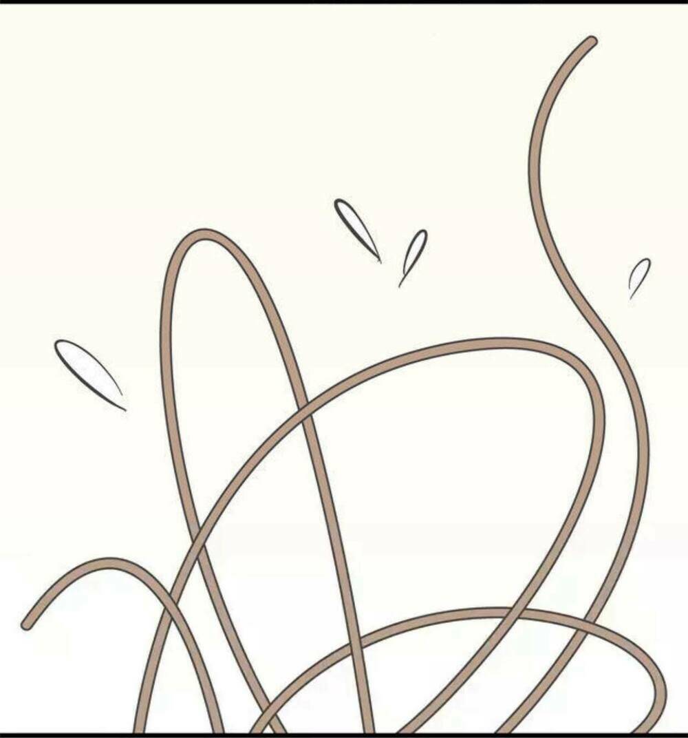 cái gì! cái gì! - chân du chapter 3 11