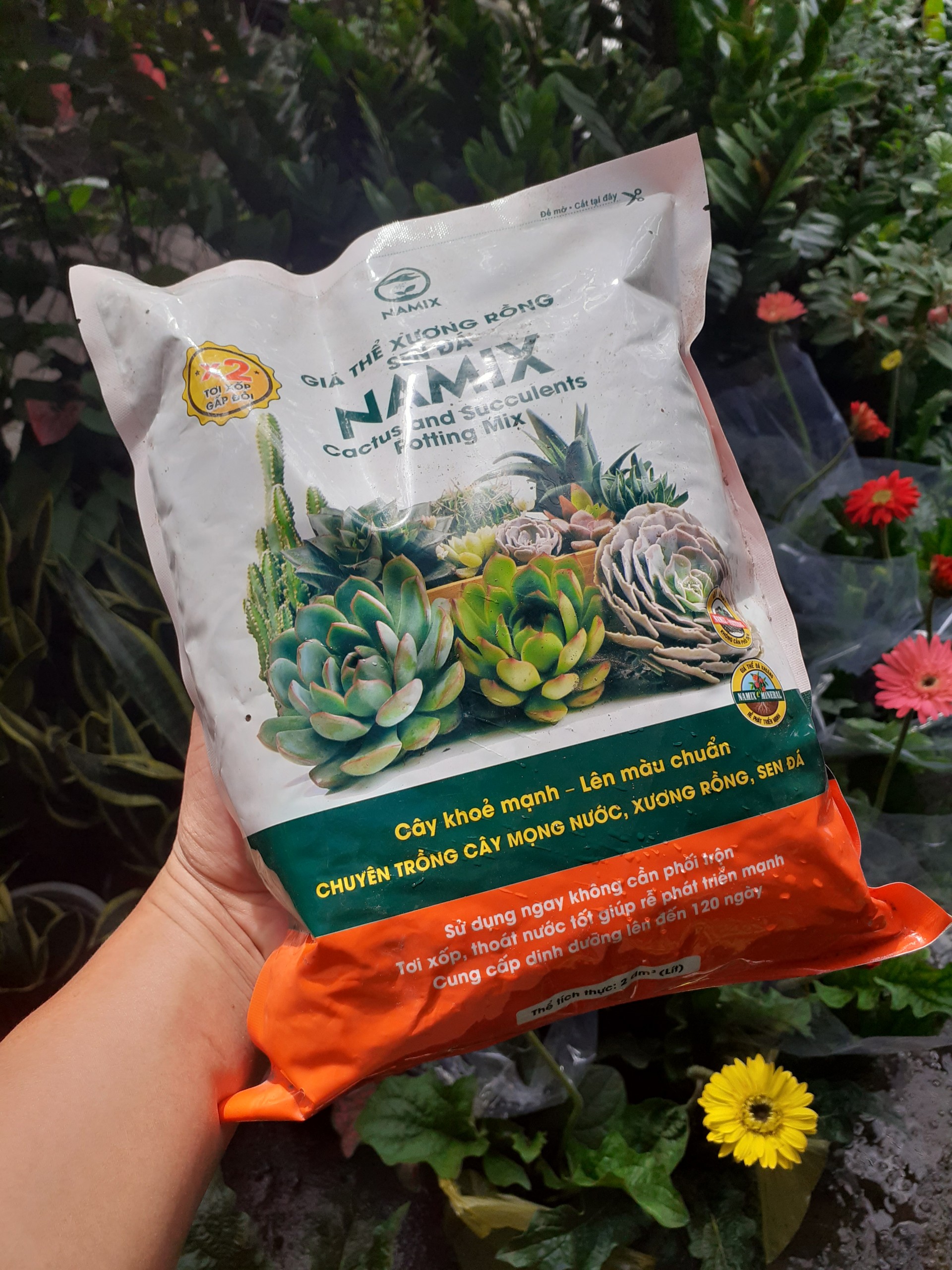 Giá thể xương rồng và sen đá NAMIX túi 2dm3 .